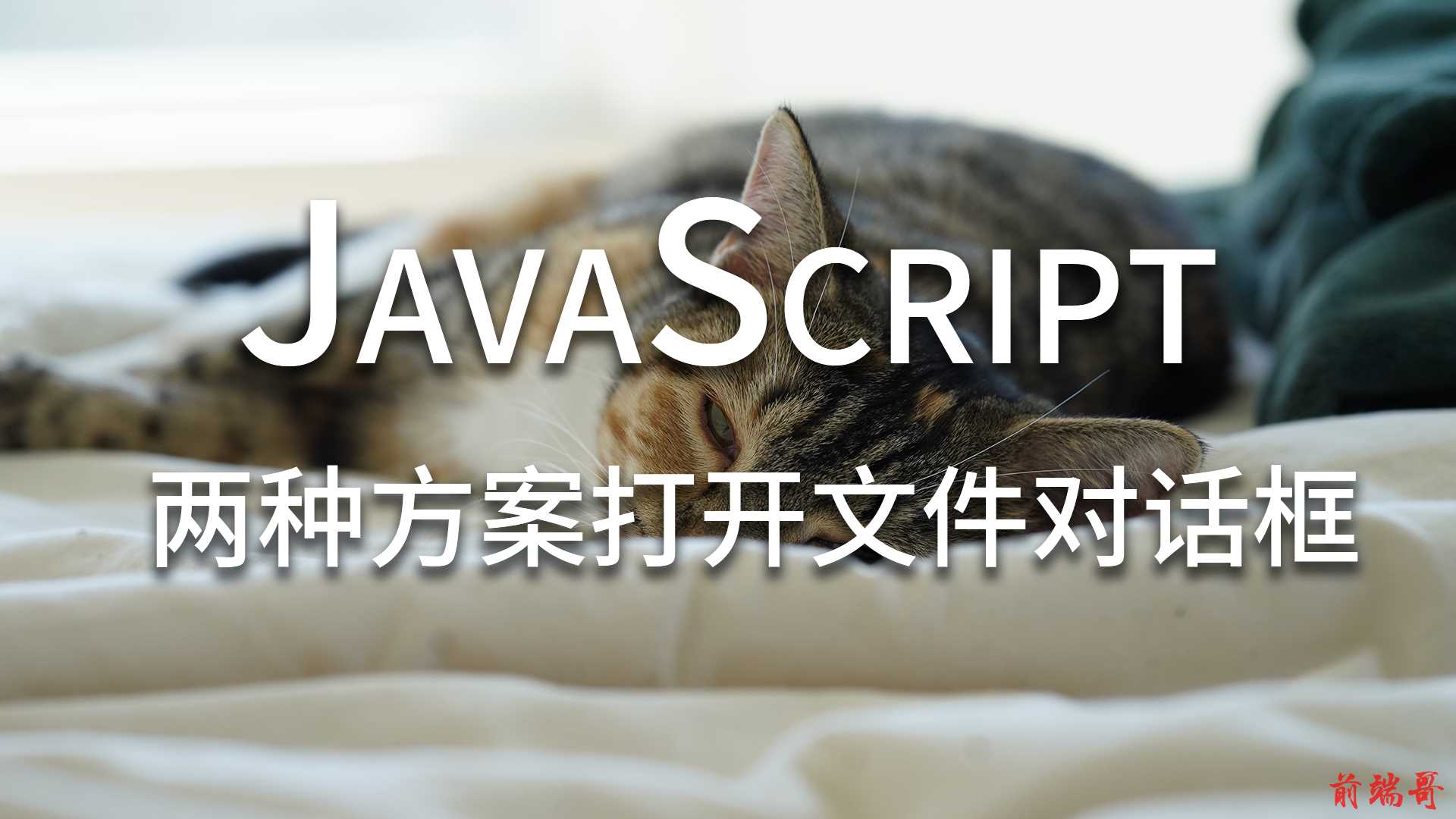 JavaScript 两种方案打开文件对话框.png